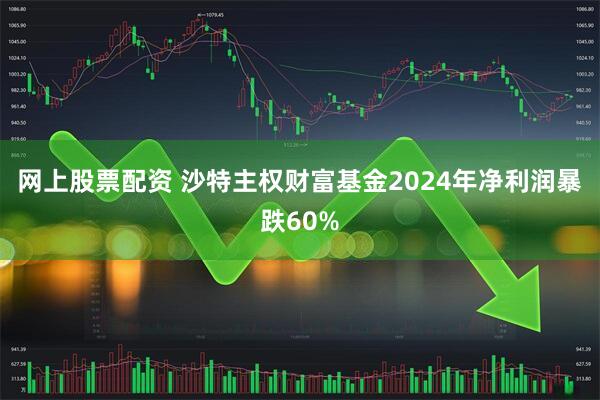 网上股票配资 沙特主权财富基金2024年净利润暴跌60%